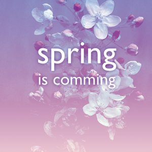 1 Spring is comming