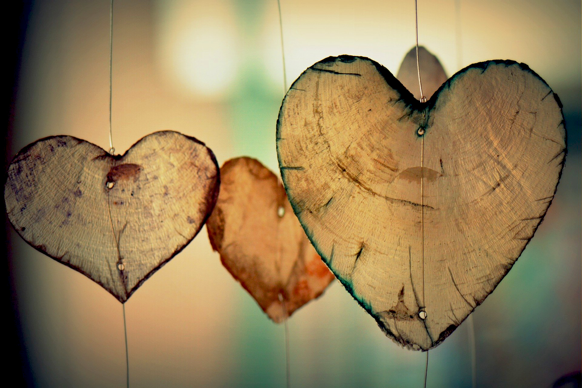 heart-700141_1920